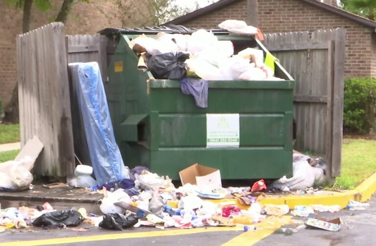 Dumpster Enclosure Clean Up